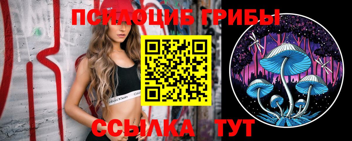 Усть-Кут  Псилоцибиновые грибы Cubensis  Вход с VPN  Псилоцибиновые грибы ЛСД 